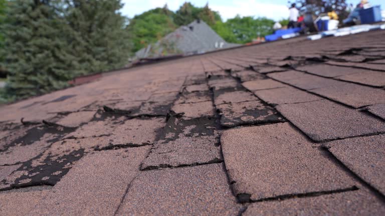 Best Steel Roofing  in Wedgefield, SC