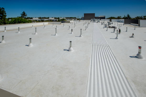 Best Solar Panel Roofing Installation  in Wedgefield, SC